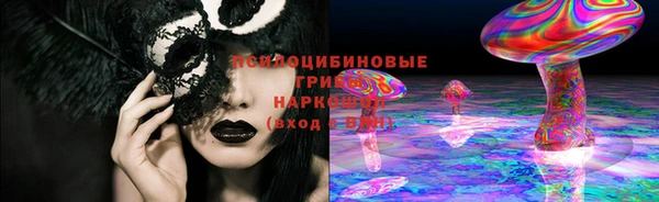 прущие грибы Абаза