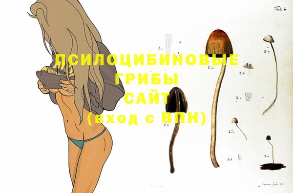 стаф Алексин