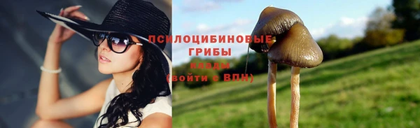 стаф Алексин