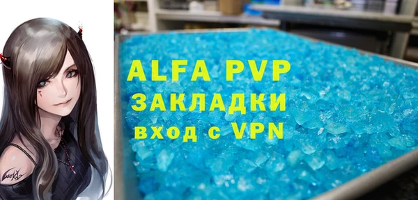 прущие грибы Абаза