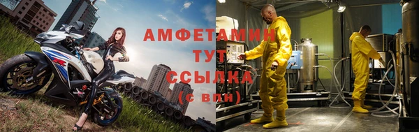 прущие грибы Абаза